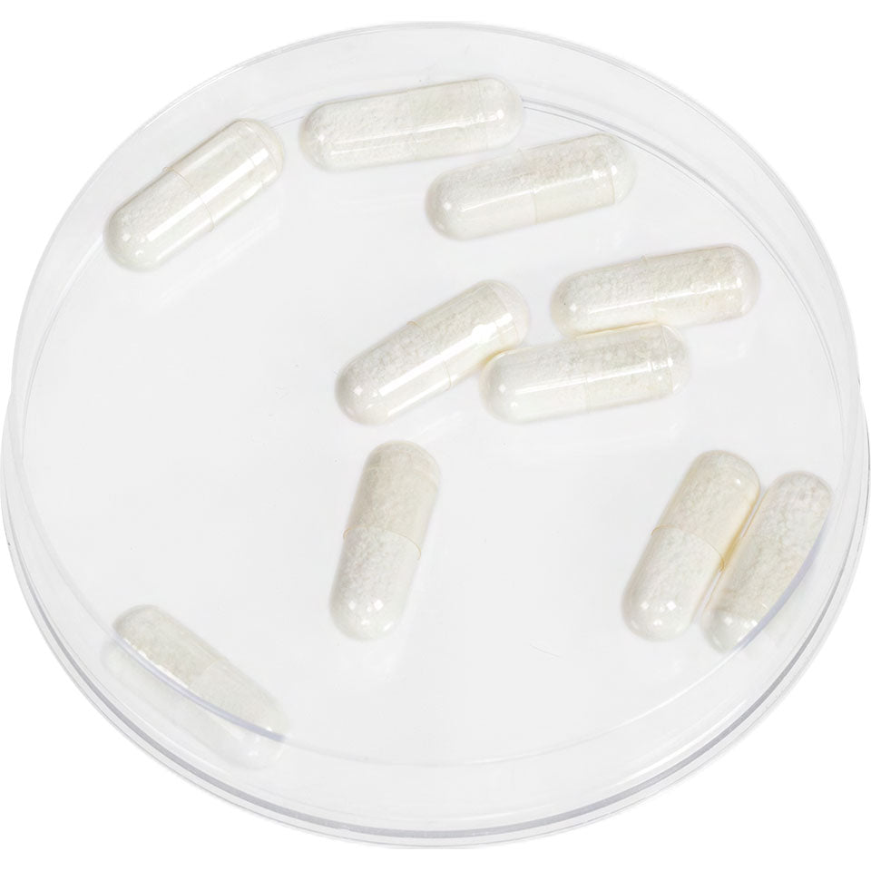 Kryolan Foam Capsules — 10 Capsules