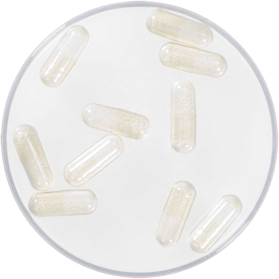 Kryolan Foam Capsules — 10 Capsules