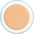Kryolan Dermacolor Camouflage Creme Jar 30 g