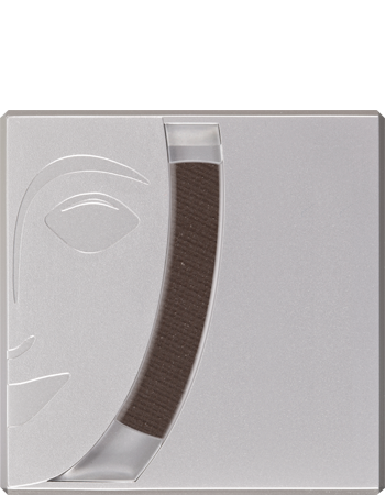 Kryolan Eyebrow Powder — DARK